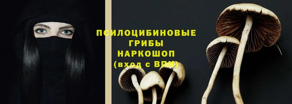 гидропоника Абаза
