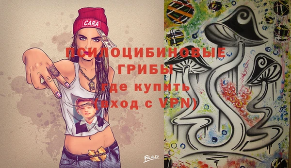 ECSTASY Абинск